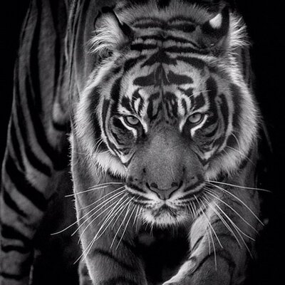 Profile Picture of Conrad Clark (@@ClarkConradpc) on Twitter