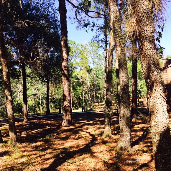 Profile Picture of Adele Abe (@adele04) on Poshmark