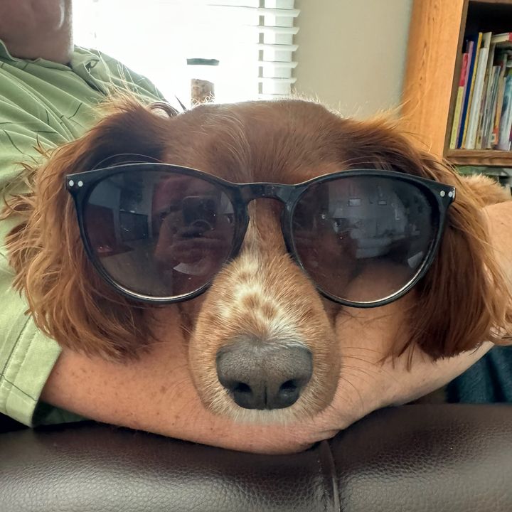 Profile Picture of jasonboerger (@jasonboerger) on Tiktok