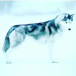 Profile Picture of Lundy Peterson (@peter.lundy96) on Instagram