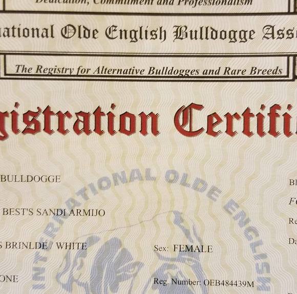 Profile Picture of Joseph Armijo (@ja4472027) on Poshmark