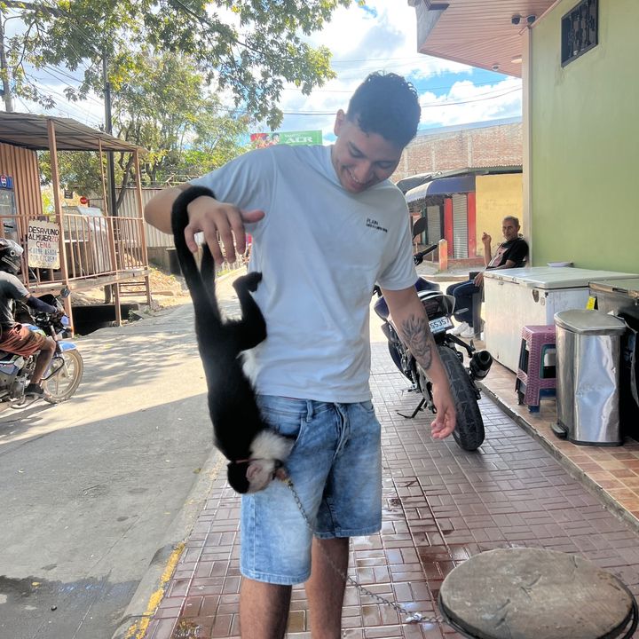 Profile Picture of   Es normal que le cante en... (@josehd4k) on Tiktok