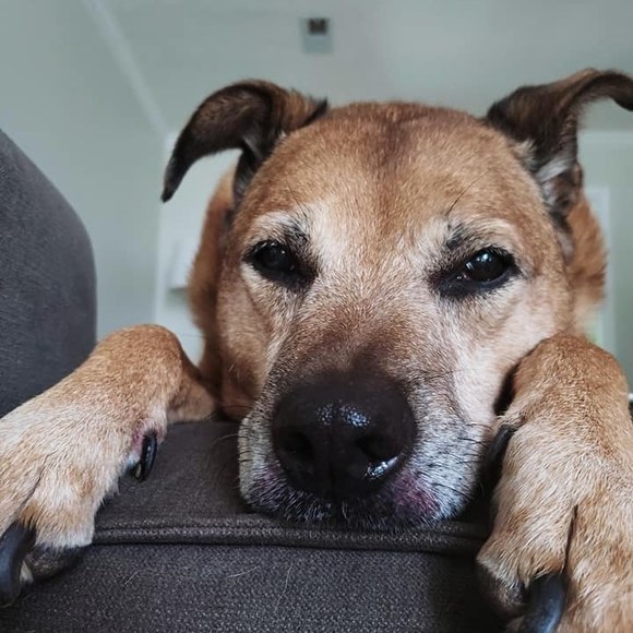 Profile Picture of Raquelle Vidal (@raquellevidal) on Poshmark