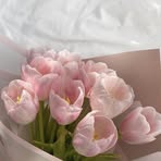 Profile Picture of Besan Fathi (@besan.fa.7) on Facebook