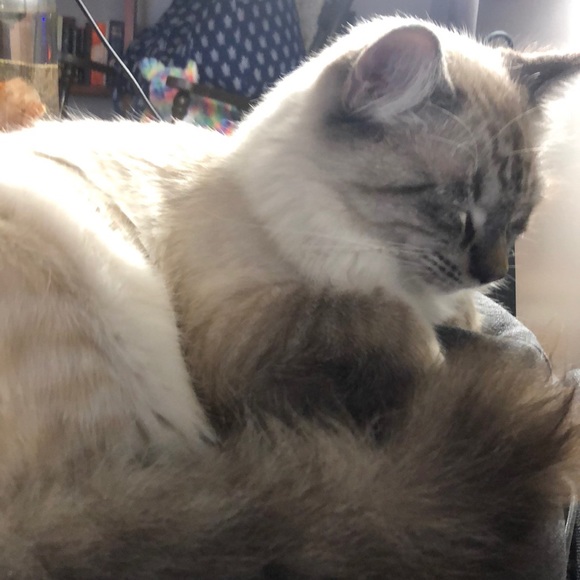 Profile Picture of Heather Neisen (@heather_neisen) on Poshmark