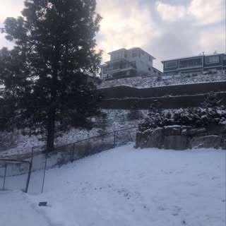 Profile Picture of Everett (@everett_peterson) on Instagram