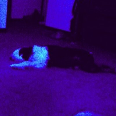 Profile Picture of Nathan Gilbertson (@natedawg654) on Twitter