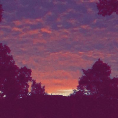 Profile Picture of Zack Simpson (@zack_shane_12) on Twitter