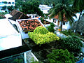 Profile Picture of Rajula Tallavalasaon Wikipedia