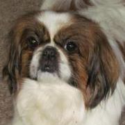 Profile Picture of Debbie Smith McClain (@mom4prettygrlz) on Pinterest