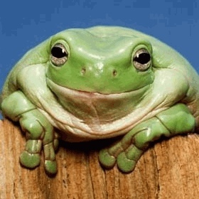 Jan Vestergaard - Myspace Profile Picture of Jan Vestergaard (@377408905) on Myspace