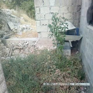 Petra Charles - Facebook Profile Picture of Petra Charles (@petra.charles.39566) on Facebook