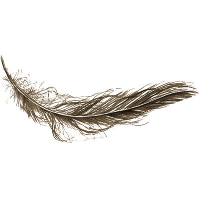 Brad Madison - Twitter Profile Picture of Brad Madison (@bmadisonphoto) on Twitter