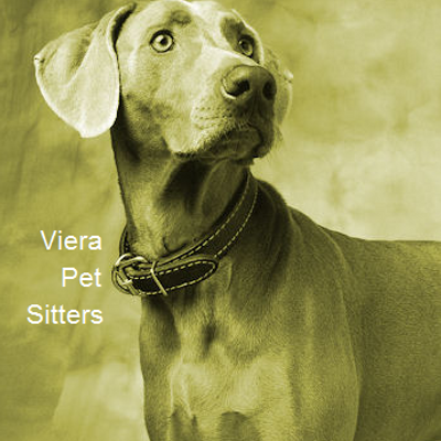 Profile Picture of Julie Burgos (@VieraPetSitters) on Twitter