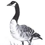 Profile Picture of Kristian Hudson (@kristian.hudson) on Instagram