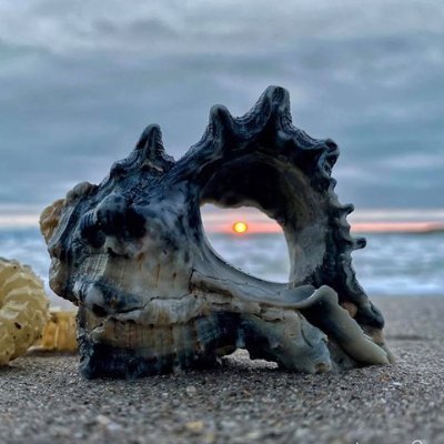 Profile Picture of Jessica Cates (Lopez) (@jesk8s) on Twitter