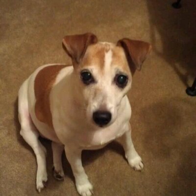 Profile Picture of Alyson Wall (@AlyoopWall) on Twitter