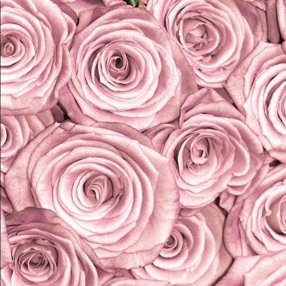 Profile Picture of Nancy Alcala (@nan555) on Poshmark