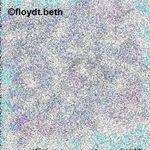 Profile Picture of Beth Floyd (@floydt.beth) on Instagram