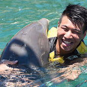 Profile Picture of Calvin Chu (@calvinchu1952) on Youtube