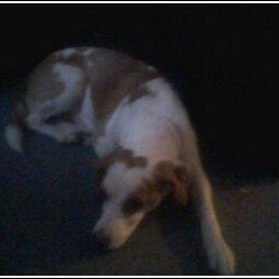 Profile Picture of Byron Hillier (@102531110) on Myspace