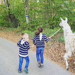 Profile Picture of Katrin Tröscher (@katrintroescher) on Instagram