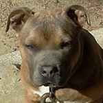 Profile Picture of Bruce Ashley Cooper (@bruceashleycooper) on Instagram