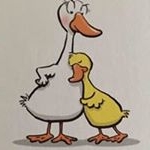 Profile Picture of Janice Devlin (@jmmurp119) on Instagram