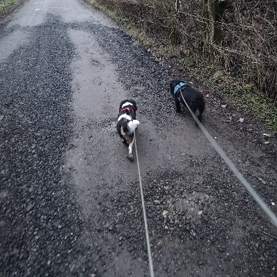 Sarah Maines - Twitter Profile Picture of Sarah Maines (@SarahMaines11) on Twitter