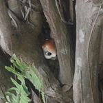 Profile Picture of Peter Rayno (@peterrayno) on Instagram