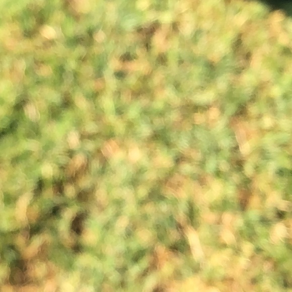 Profile Picture of Mark Mckinzey (@mck1305) on Poshmark