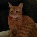 Profile Picture of delphine (@daniel.hochart0987) on Instagram