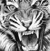 Profile Picture of Steve Schluchter (@steve.schluchter.5) on Facebook