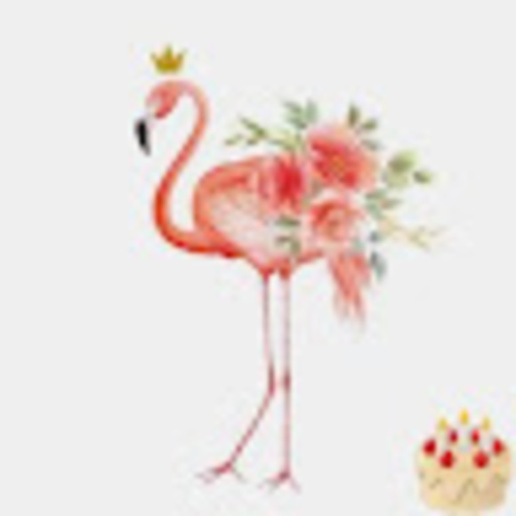 Profile Picture of Jill Nuckolls (@jillnuckolls) on Poshmark