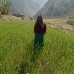 Profile Picture of Misty Thakur (@misty.thakur.866758) on Facebook