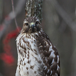 Profile Picture of Gary Korzan (@gakrrt725) on Flickr