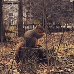 Profile Picture of Andrew Kneller (@knellear) on Instagram