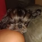 Profile Picture of Travis N Tiffany (@Travis-N-Tiffany) on Facebook