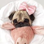 Loren - Instagram Profile Picture of Loren (@loren_starrr) on Instagram