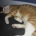 Profile Picture of Jacob Masker (@maskerjacob) on Instagram