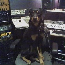 Profile Picture of Alexander Bassett (@104134572) on Myspace