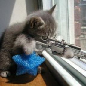 Profile Picture of Dee Dee Ball (@deedee.ball.3) on Facebook