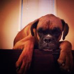 Profile Picture of Dan Hassell (@danny_hassell) on Instagram