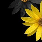 April - Instagram Profile Picture of April (@april_abbatoy) on Instagram