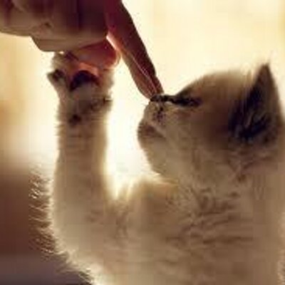 Jeremy Valentino - Twitter Profile Picture of Jeremy Valentino (@jeremyvalentin0) on Twitter