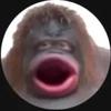 Profile Picture of Real kimbenham (@oficiallkimbenham) on Tiktok
