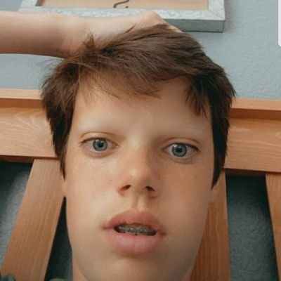 Profile Picture of Alex Cheema (@AlexCheema2) on Twitter