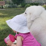 Profile Picture of Jason Wyse (@jasonwyse13) on Instagram