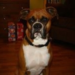 jonatchley - Instagram Profile Picture of jonatchley (@jonatchley) on Instagram