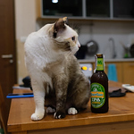 Profile Picture of Shin Watanabe (@shin watanabe) on Flickr